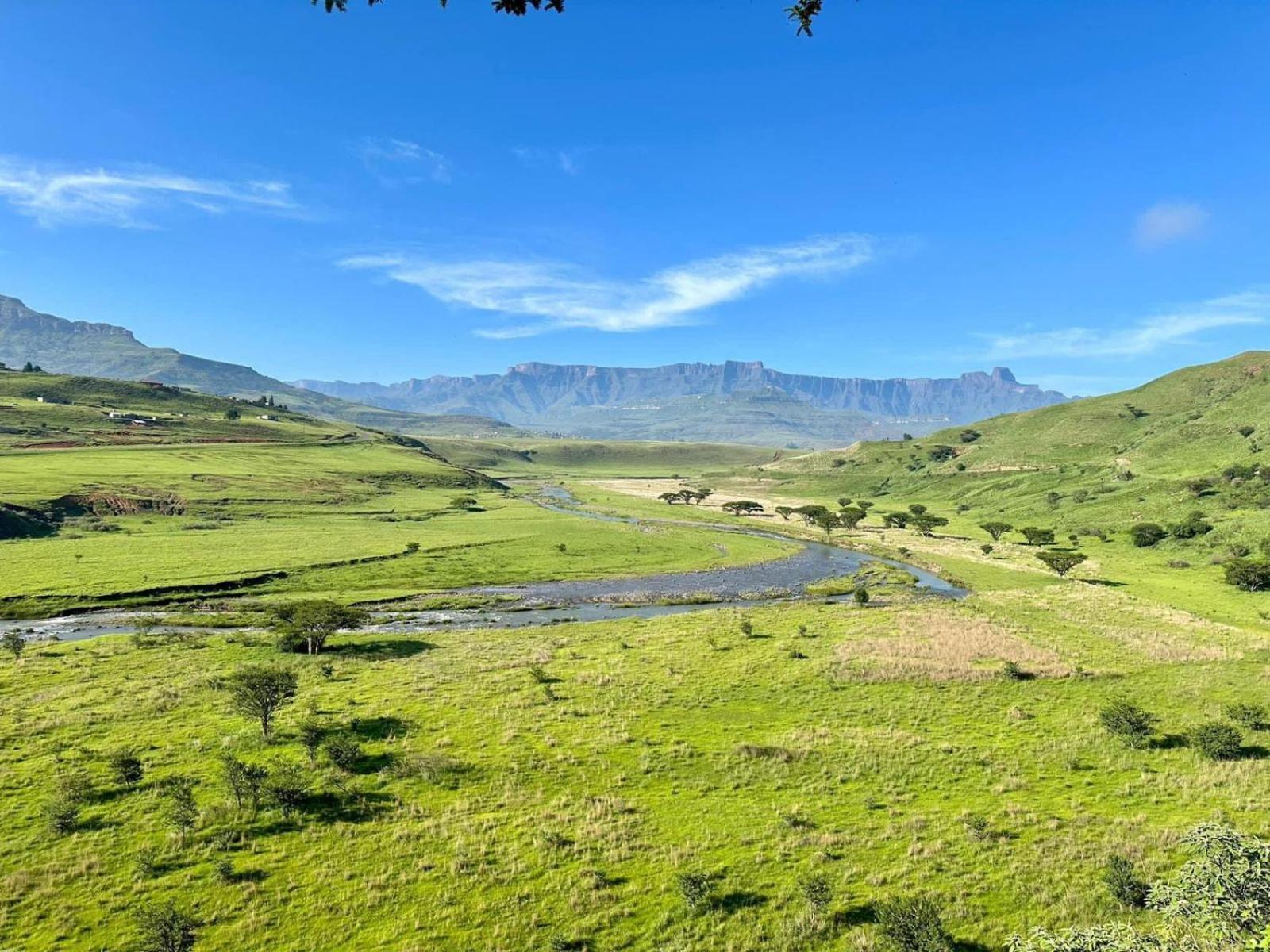 Hlalanathi Drakensberg Resort 버그빌 외부 사진